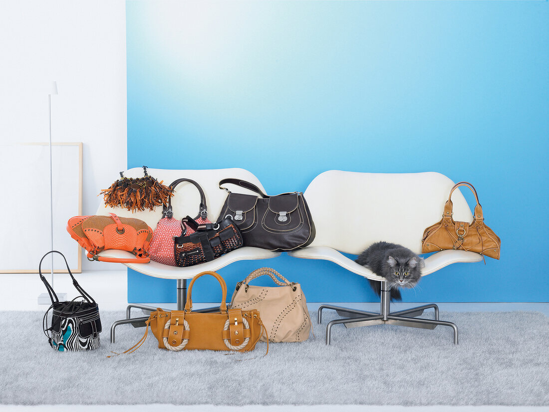 Various handbags and cat sitting on chair against blue wall