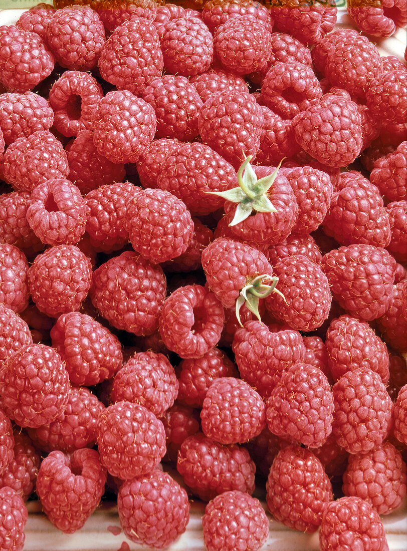 Close-up of heap of raspberries