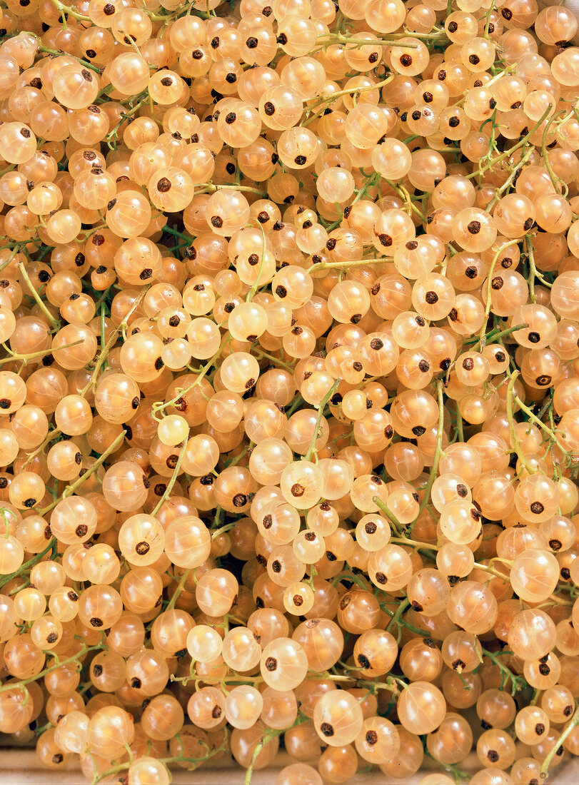 Close-up of heap of yellow currants