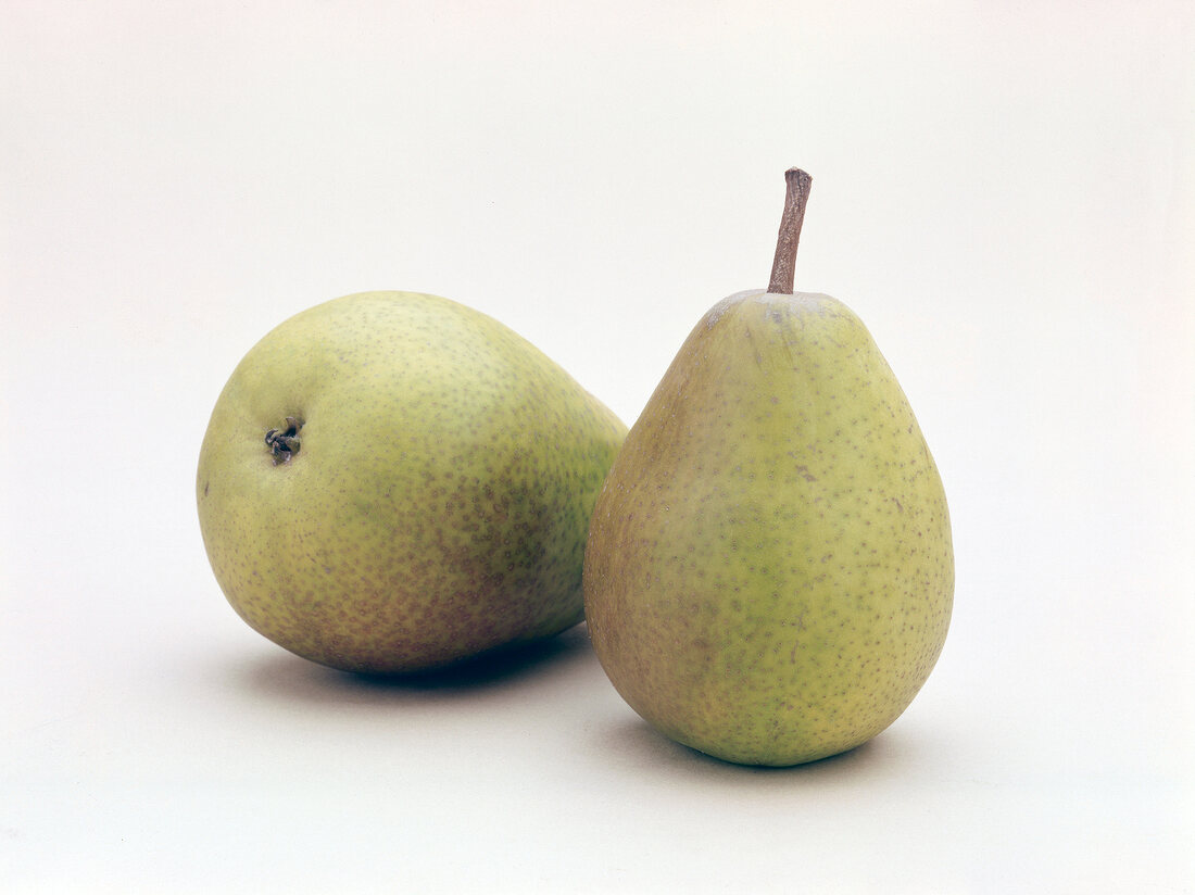 Two clapp's pears on white background