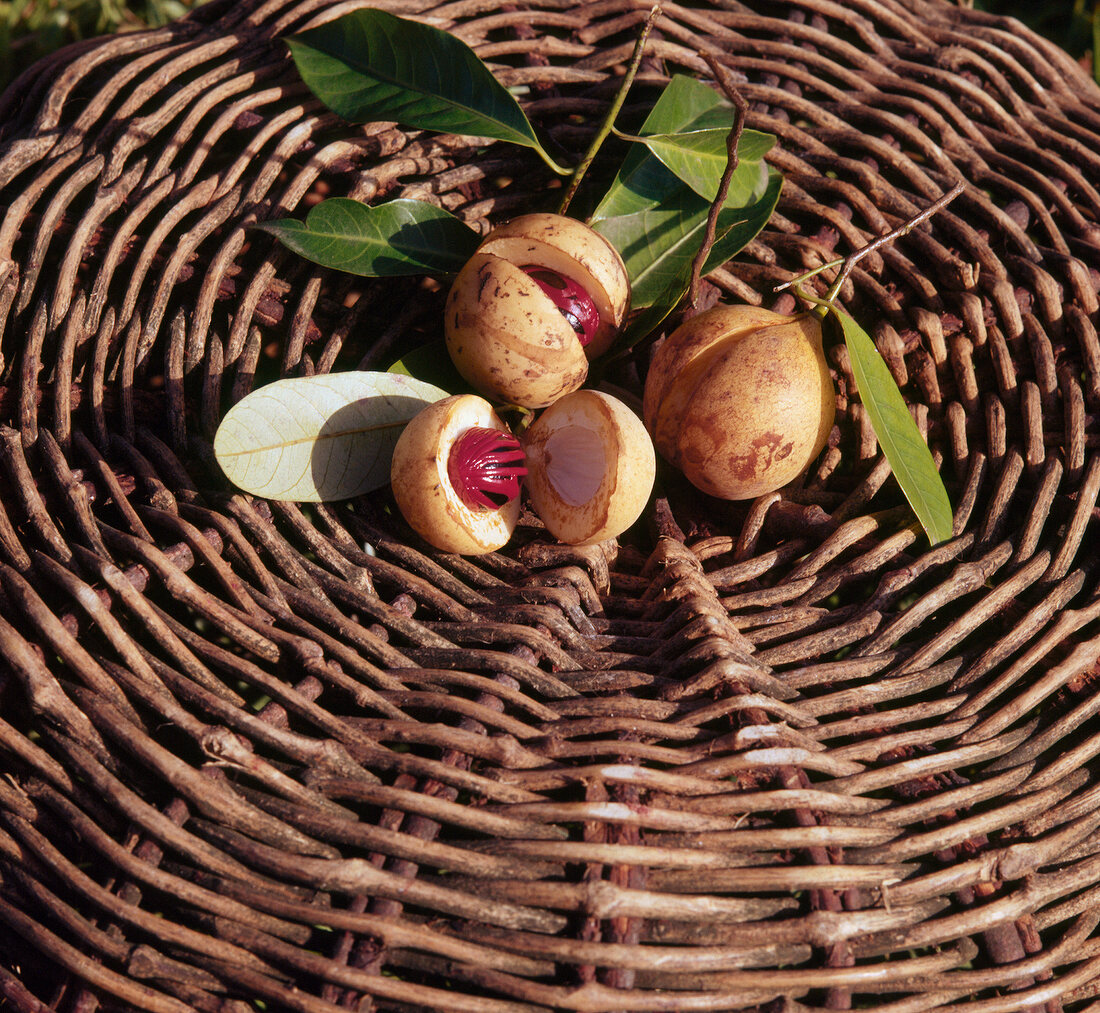 Das große Buch der Desserts: Früchte des Muskatbaumes