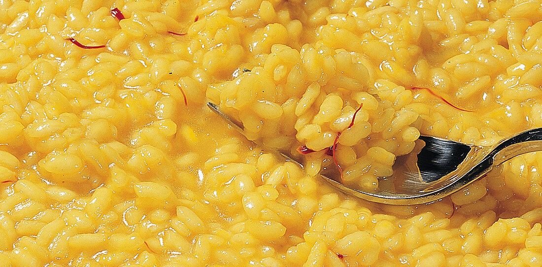Close-up of yellow round grain rice with fork