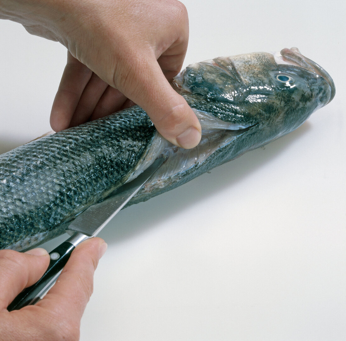 Close-up of hand cutting fish on white background