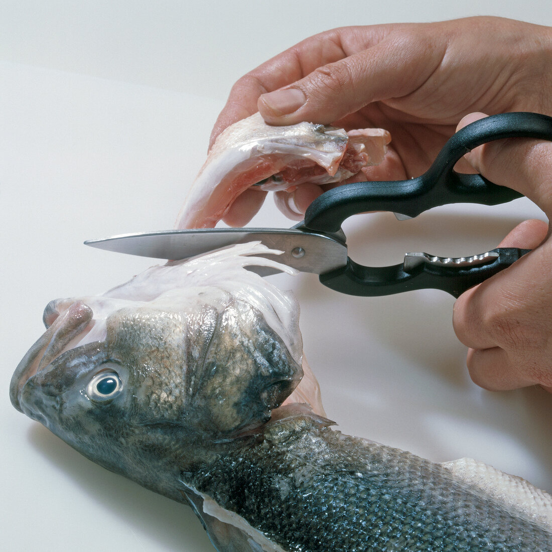 Close-up of hand cutting fold fillets of fish, step 9