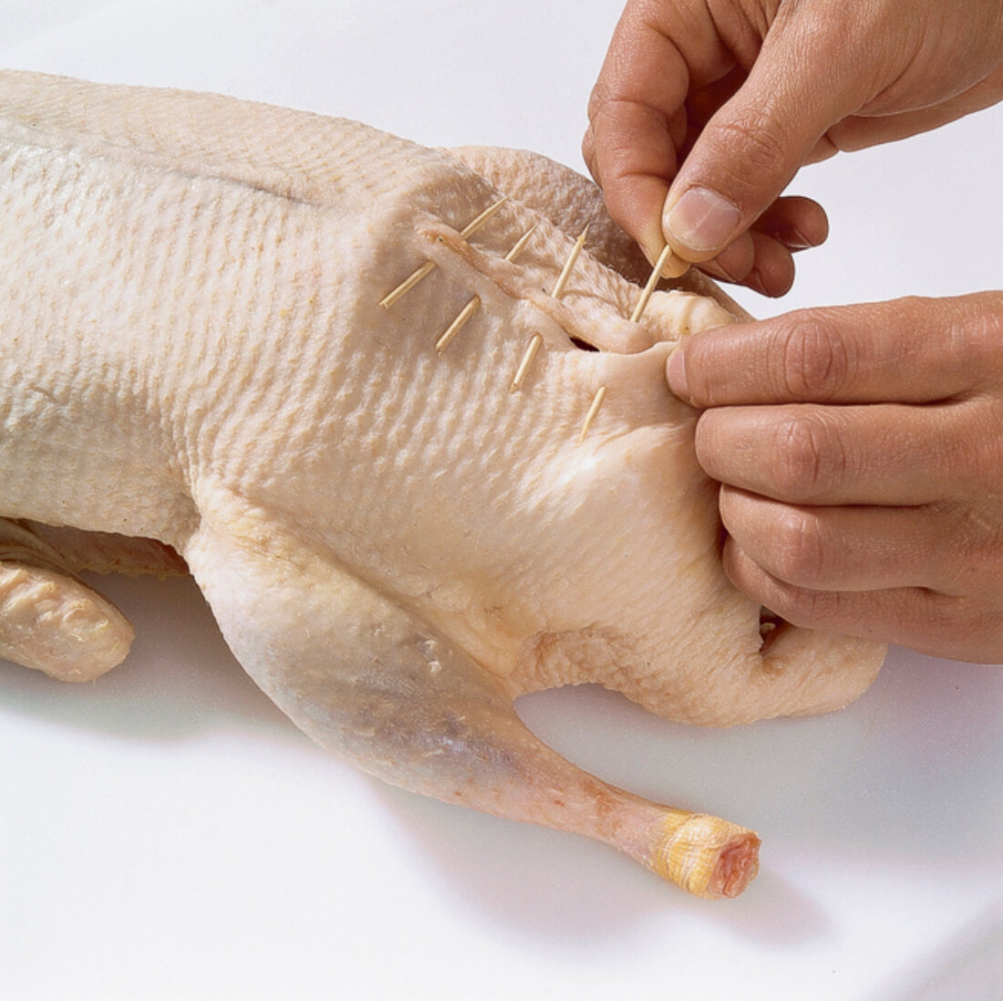 Buch vom Geflügel, Ente füllen , Step 3, zustecken, Holzspießchen