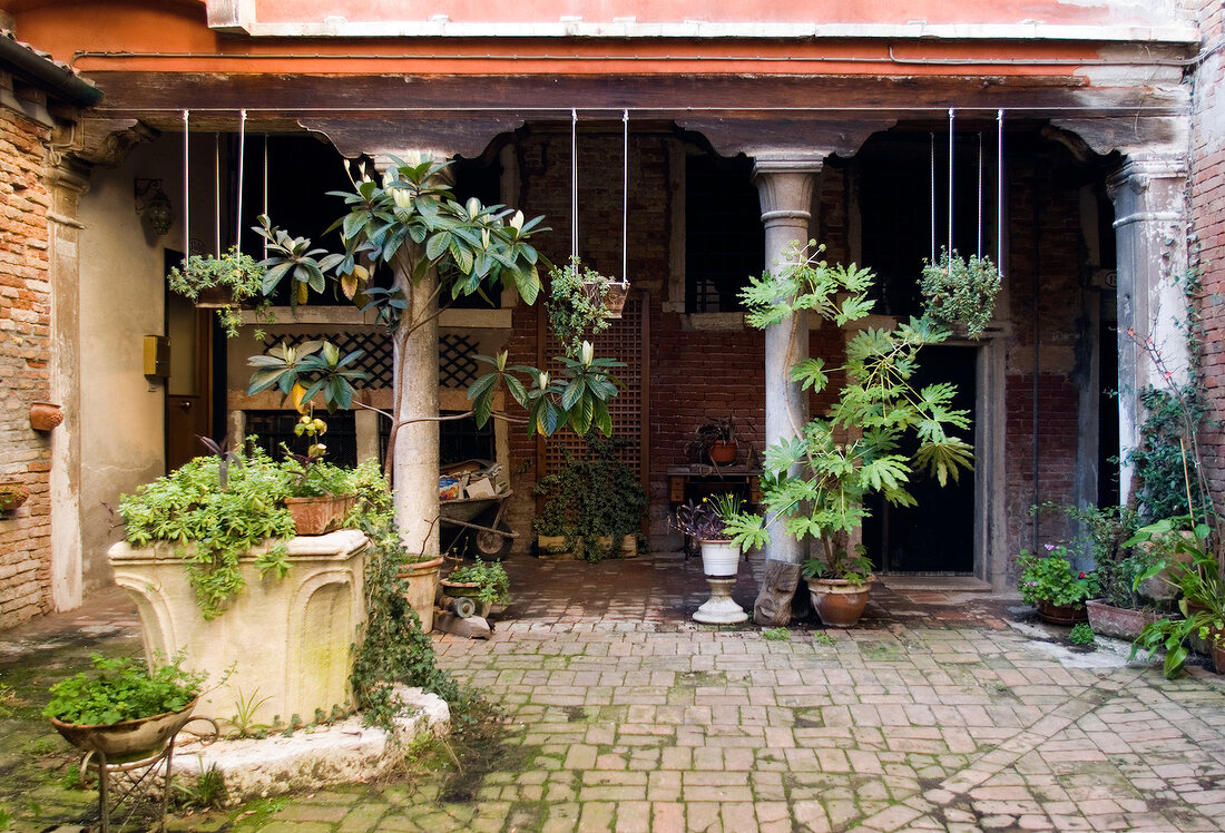 Quiet columns in arcade with plants in courtyard in Venice