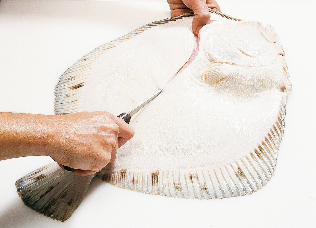 Fisch,  Step 9: helle Seite des Steinbutts einschneiden