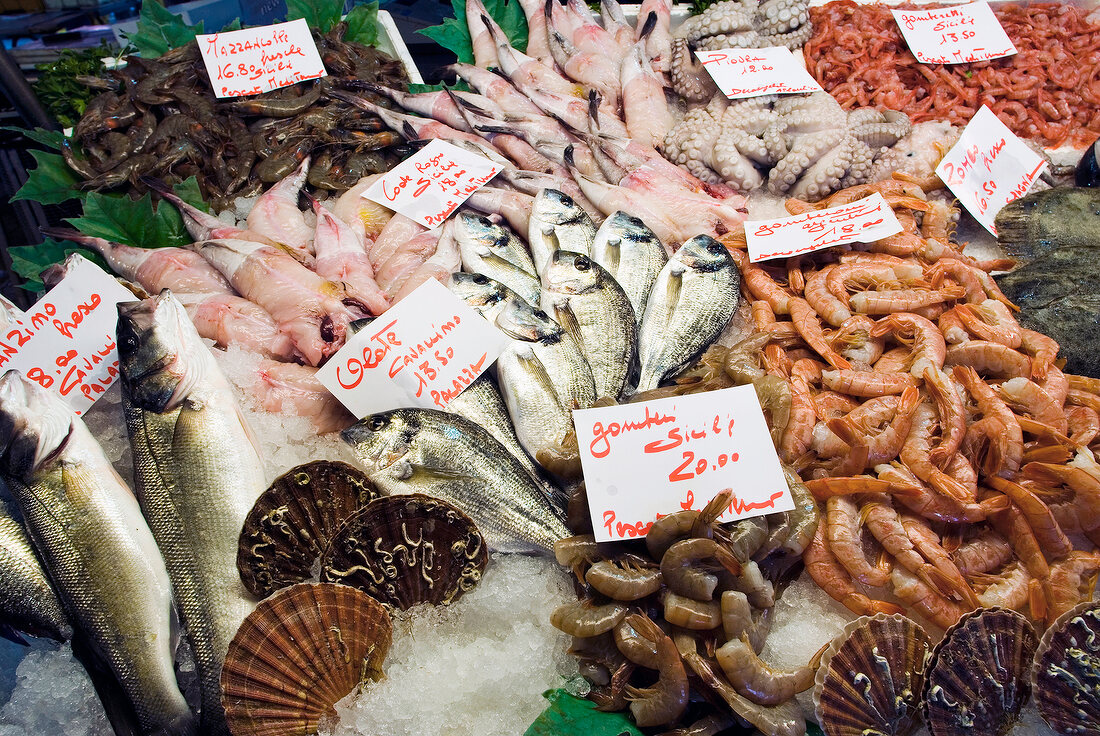 Fisch und Meeresfrüchte auf d. Markt in Venedig, Preisschilder