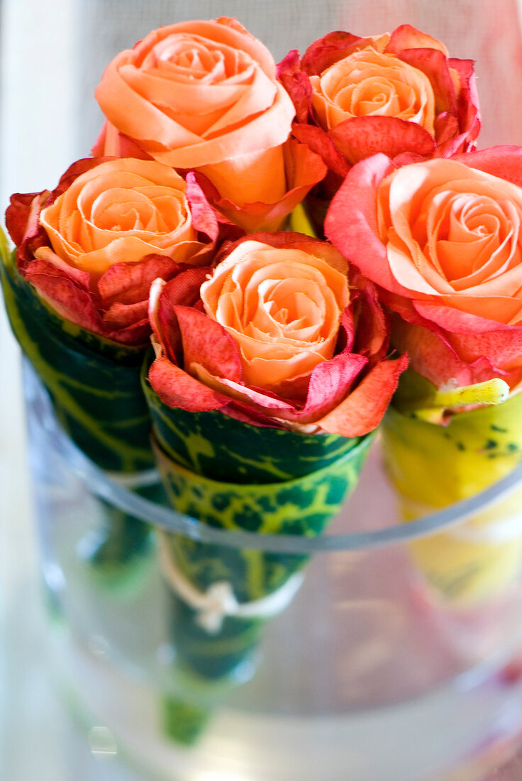 Close-up of five individually wrapped pink roses in glass vase