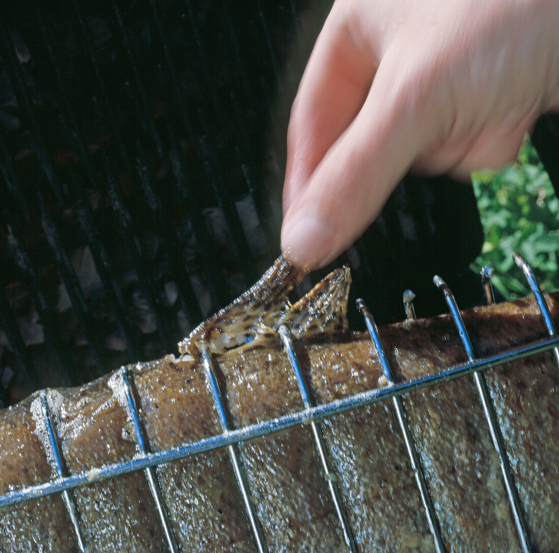 Close-up of dorsal fin of salmon trout being pulled from grill basket