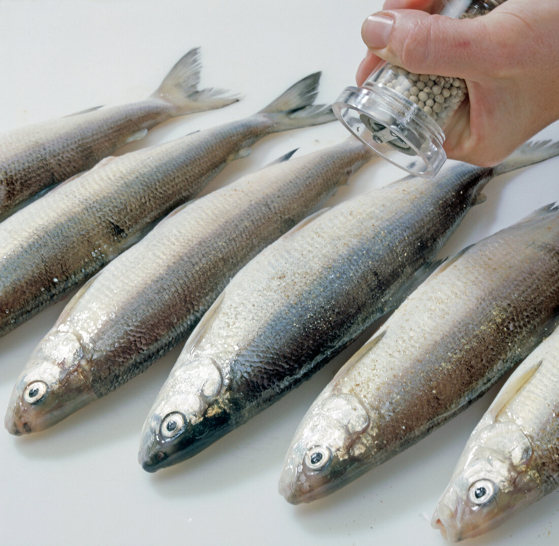 Close-up of hand putting salt, spice and pepper on raw renke fishes, step 2