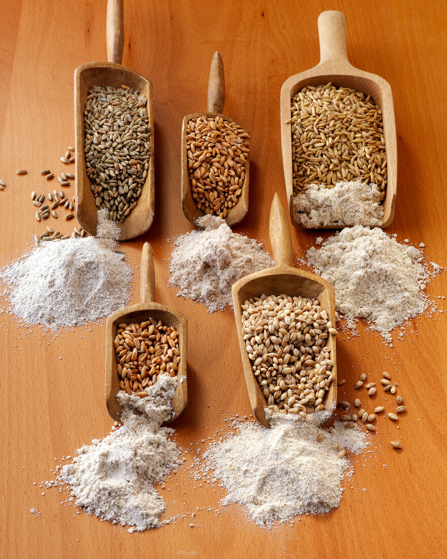 Various types of wheat in wooden spatula with flour in front 