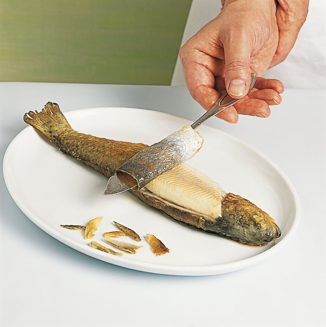 Fisch - Gegarten Fisch zerlegen, Step 1, Haut abziehen