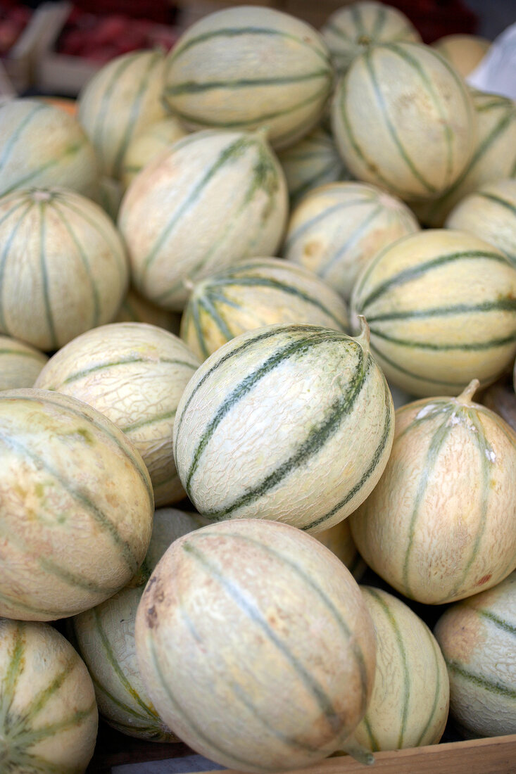 Charentais Melonen in Kisten auf dem Markt liegend