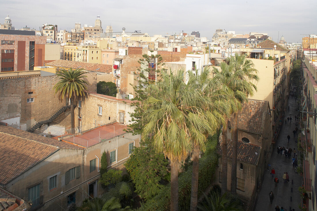 Blick über die Dächer von Barcelona, Palmen, Häuser, sommerlich.