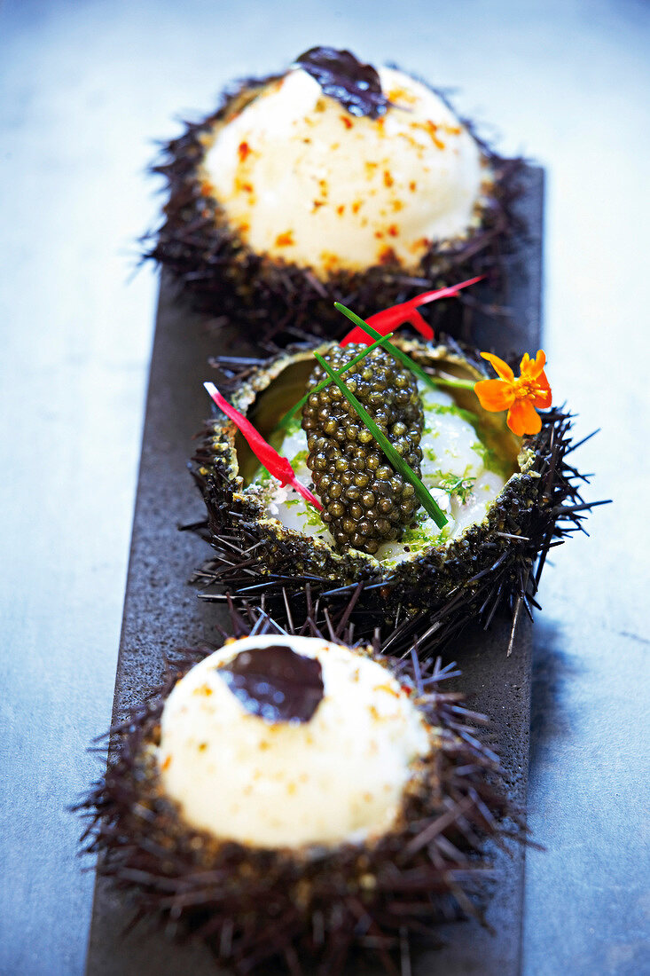 Sea urchin filled with scallops, caviar, fennel and lemon