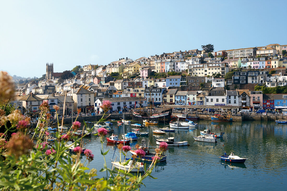 Blick über Hafen auf Fischereistädtchen Brixham, Häuser, Boote