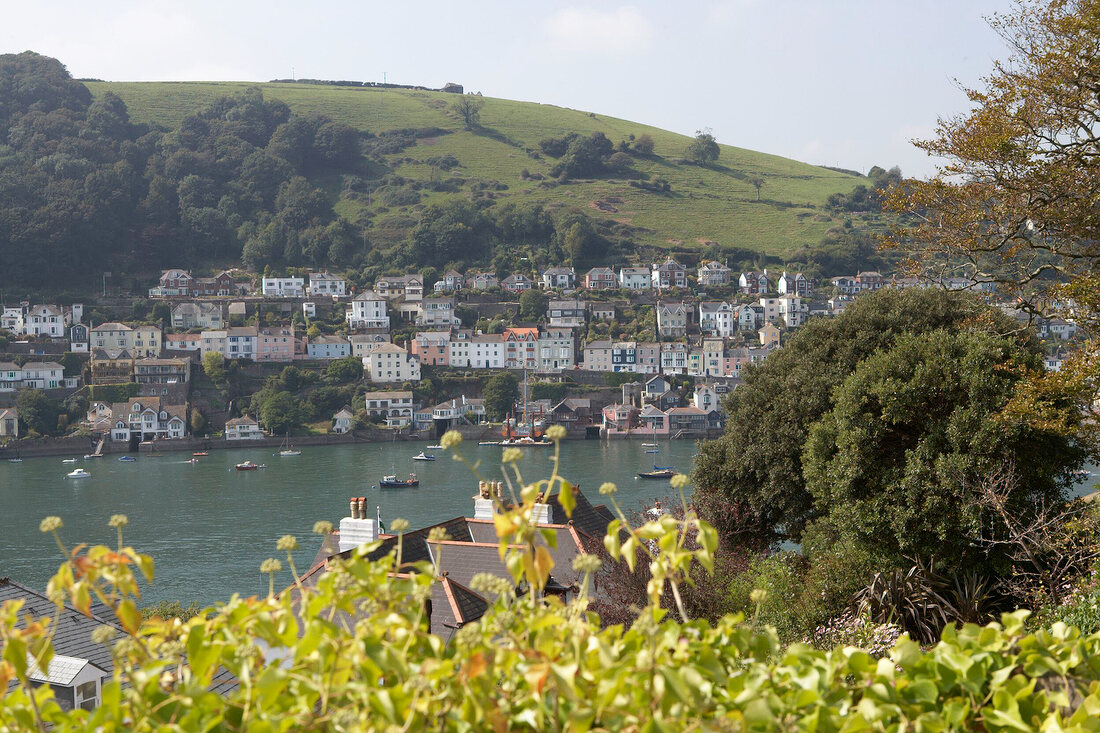 Blick über Dart River, grüner Hang , Häuser, vorne Bäume, Dartmouth.X