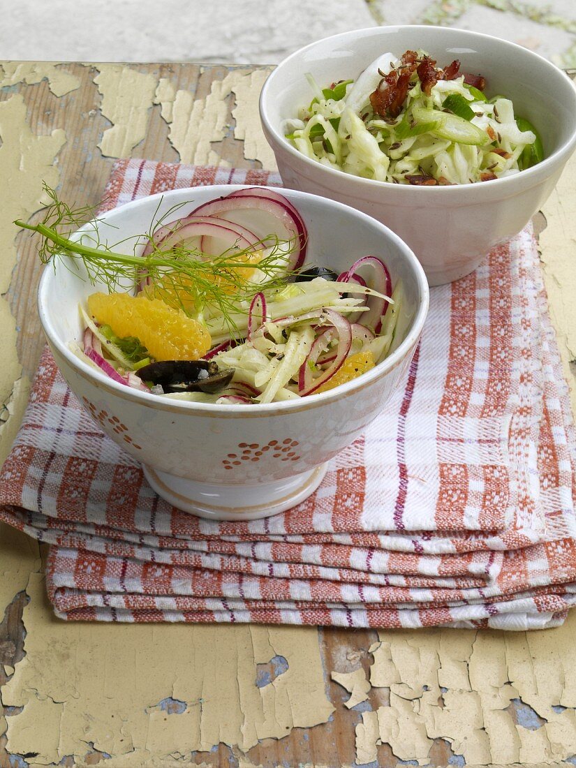 Weisskohlsalat und Fenchel-Orangen-Salat