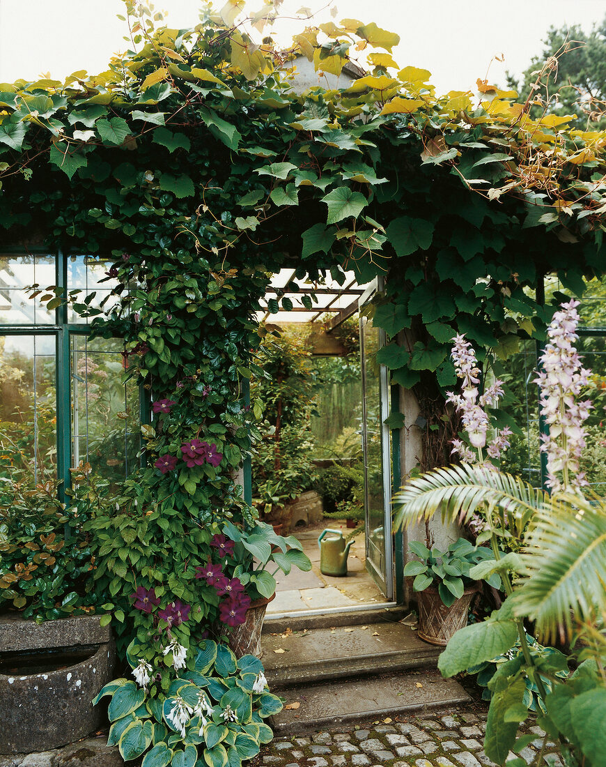 Lakemount Garden in Irland 