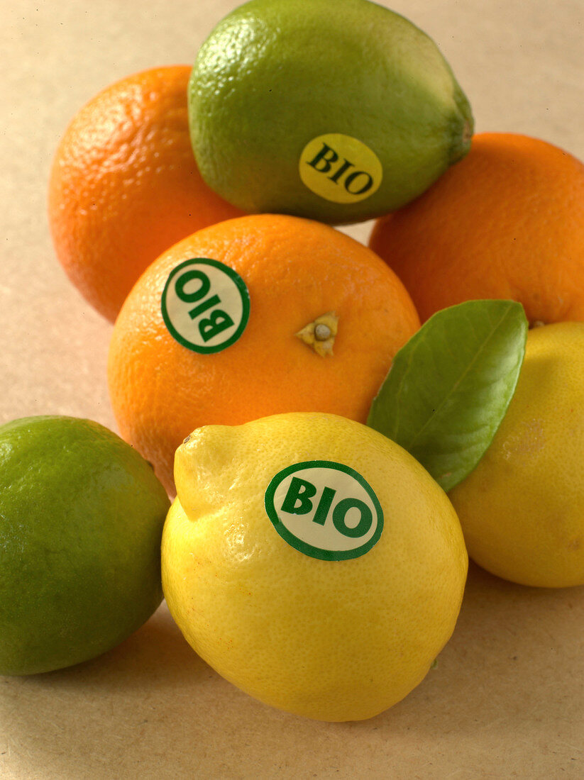 Close-up of orange, lemon and limes