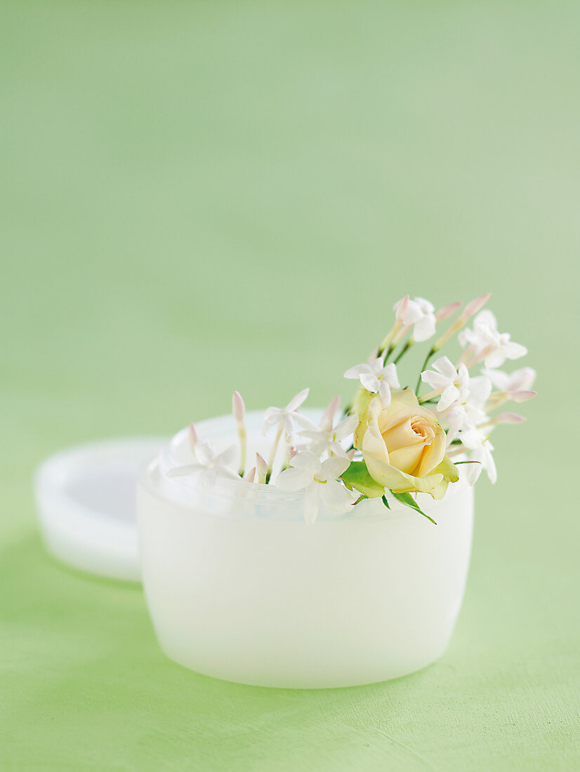 Close-up of white cream pot with flowers on green background