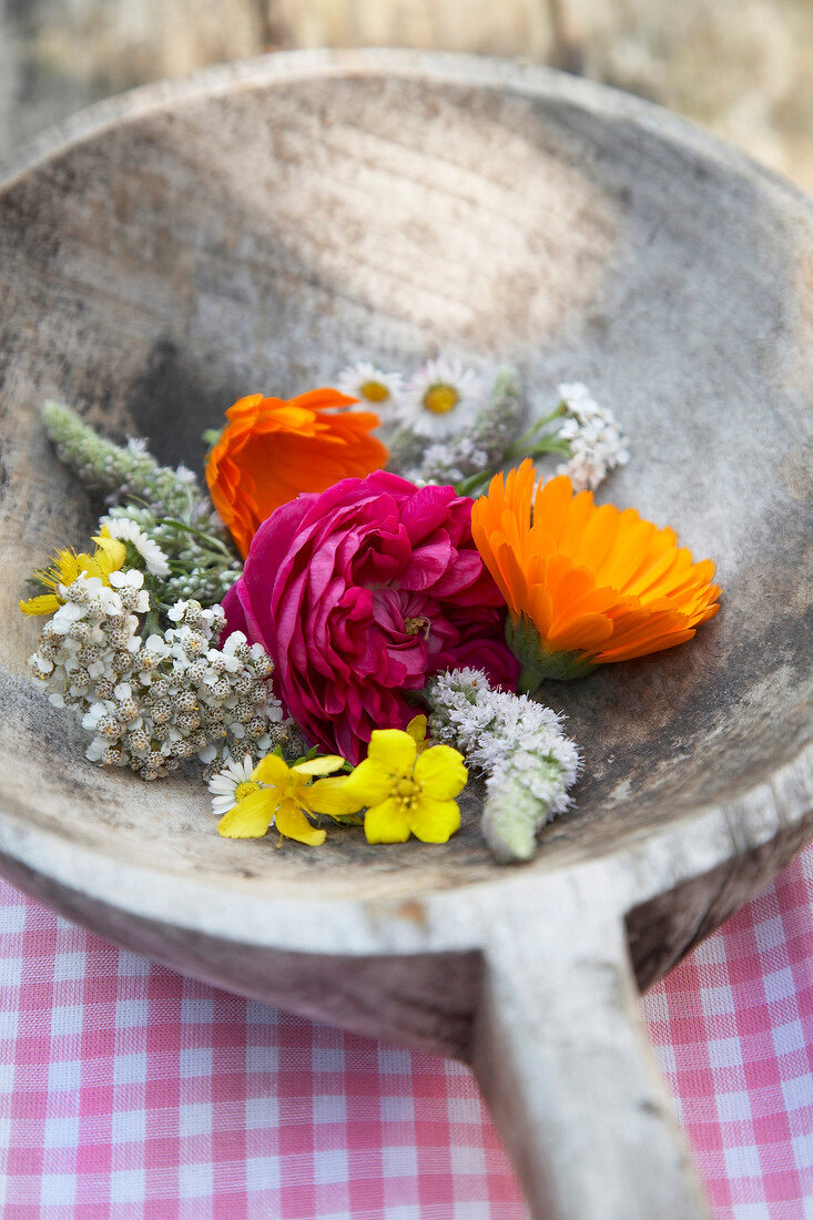 Close-up of yarrow, calendula and rose flowers in wooden spoon