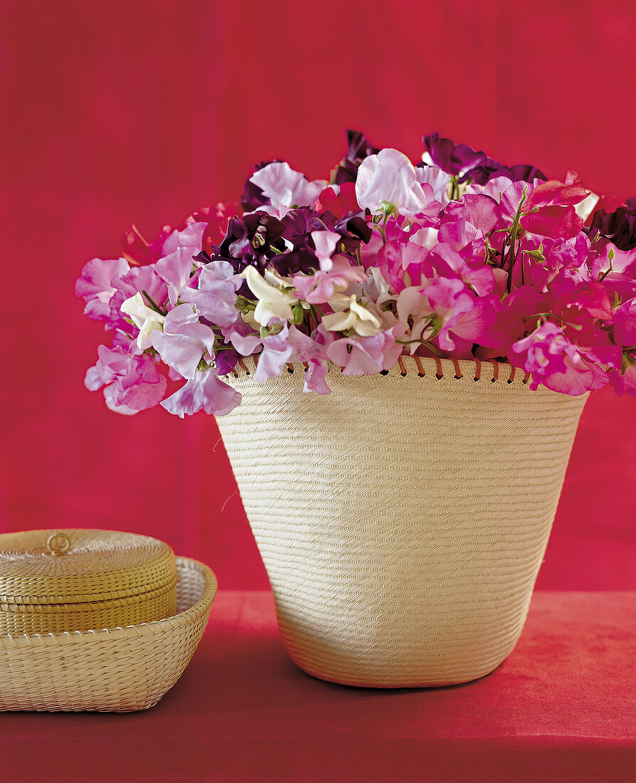 Close-up of wicker basket with colourful flowers against red background