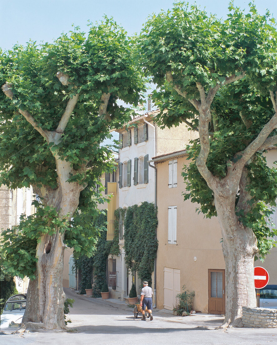 Mann mit Bollerwagen läuft auf Straß e, Häuser, Bäume in der Provence