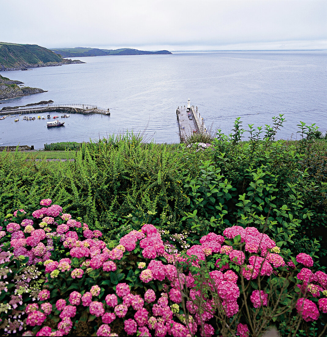 Cornische Riviera, Blick auf die Bucht von Mevagissey, England