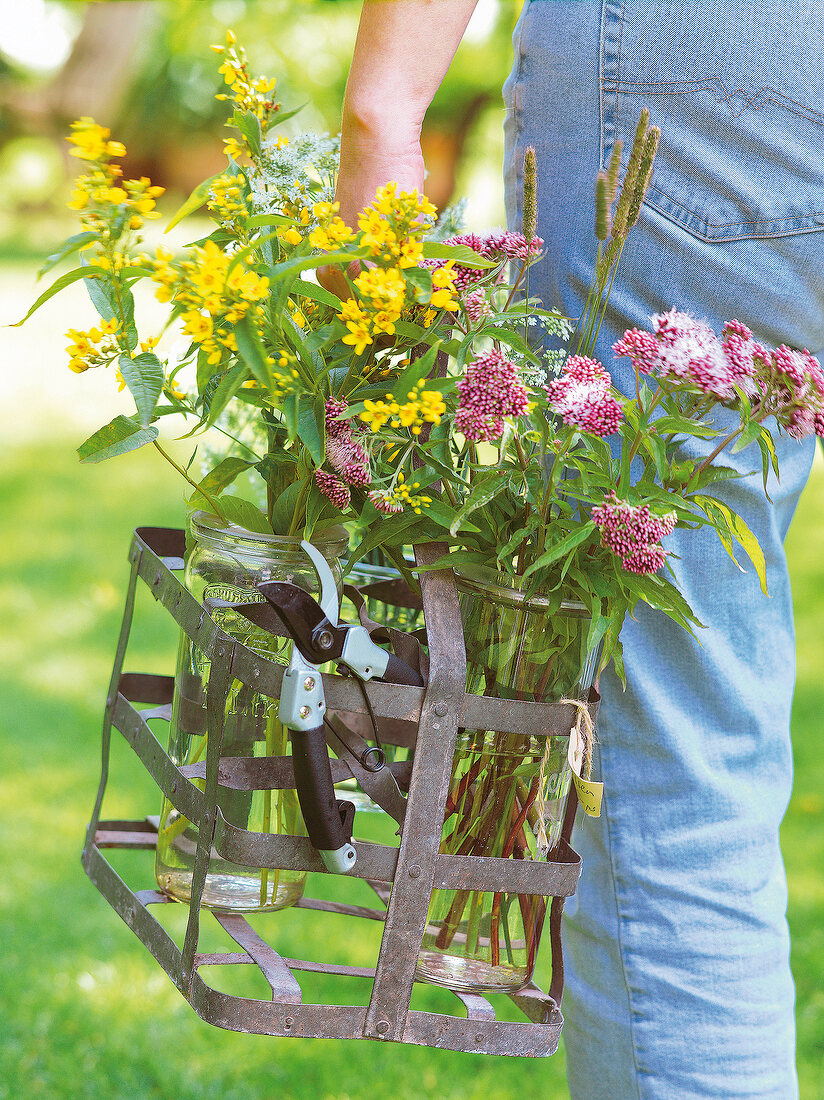 Weckgläser mit Blumen getragen in einem Flaschenhalter, Gartenschere
