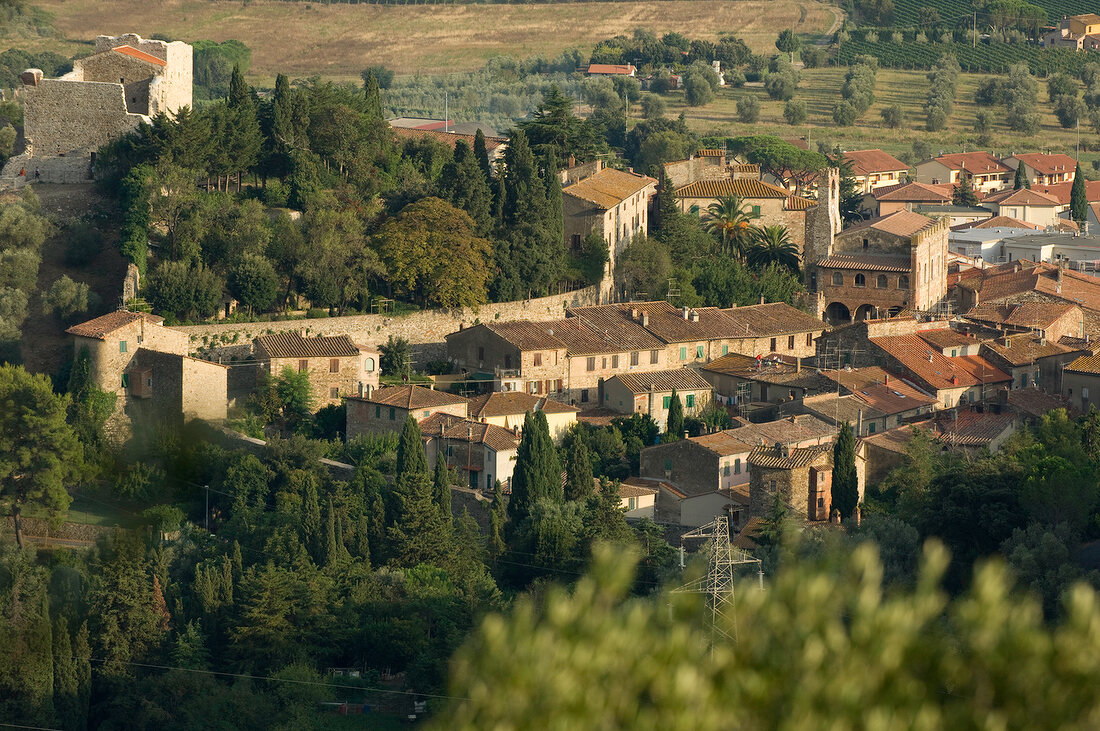 Blick über ein Dorf in der Toskana, Olivenbäume, Häuser, Zypressen