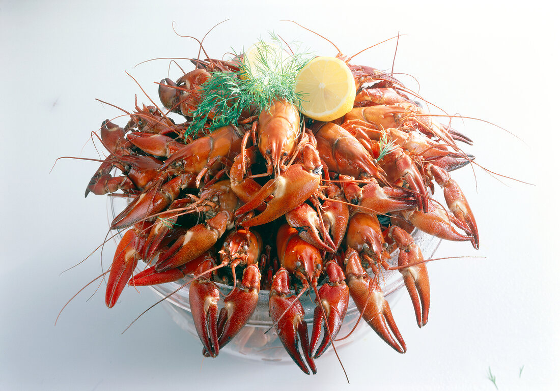 Bowl of boiled crayfish with dill and lemon