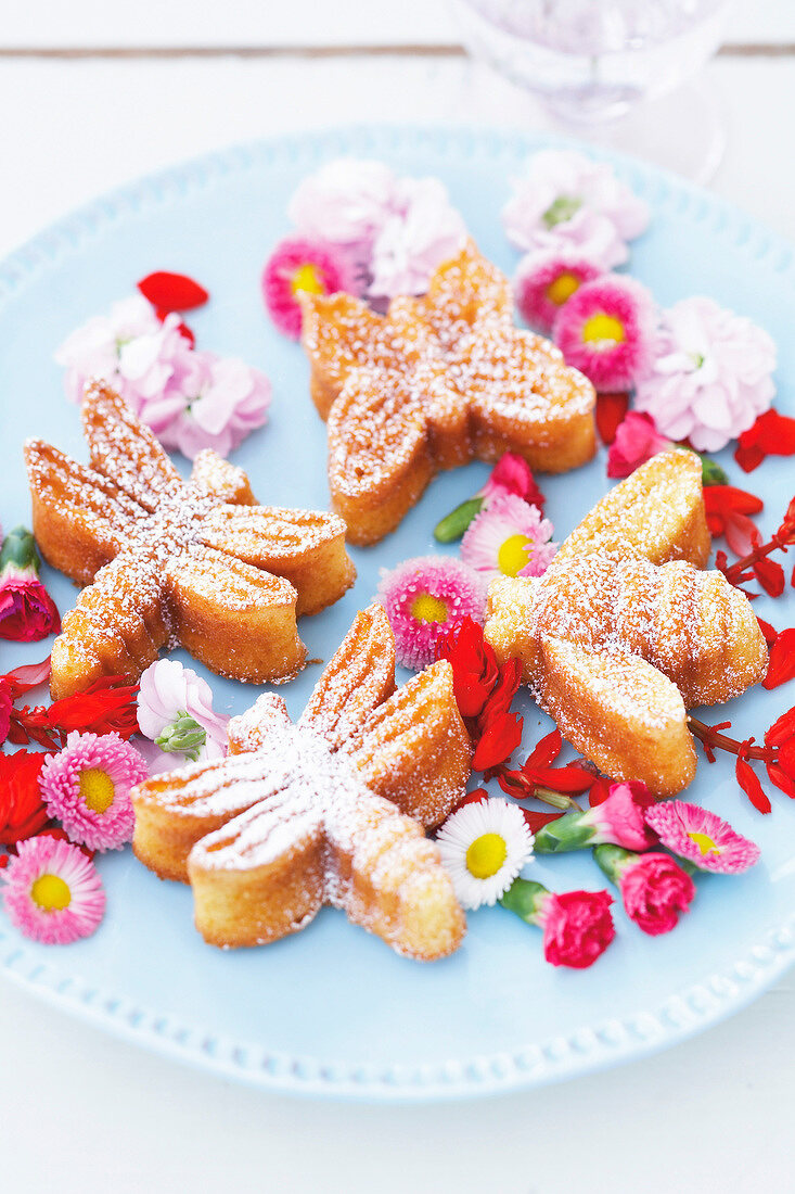 Close-up of butterfly, bee and dragonfly shaped biscuits served on plate