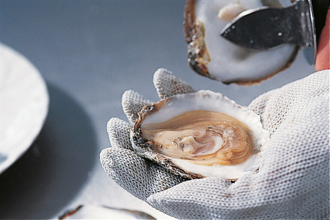 GuU- Muscheln, Austern öffnen, Step 4: obere Schalenhälfte abnehmen