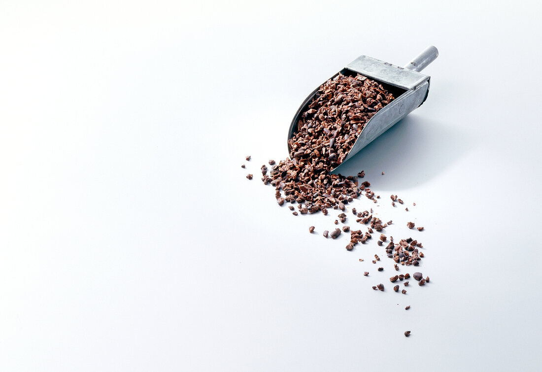 Broken cocoa seeds in flour scoop on white background