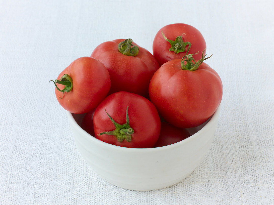 viele rote Tomaten, Sorte Early Wonder