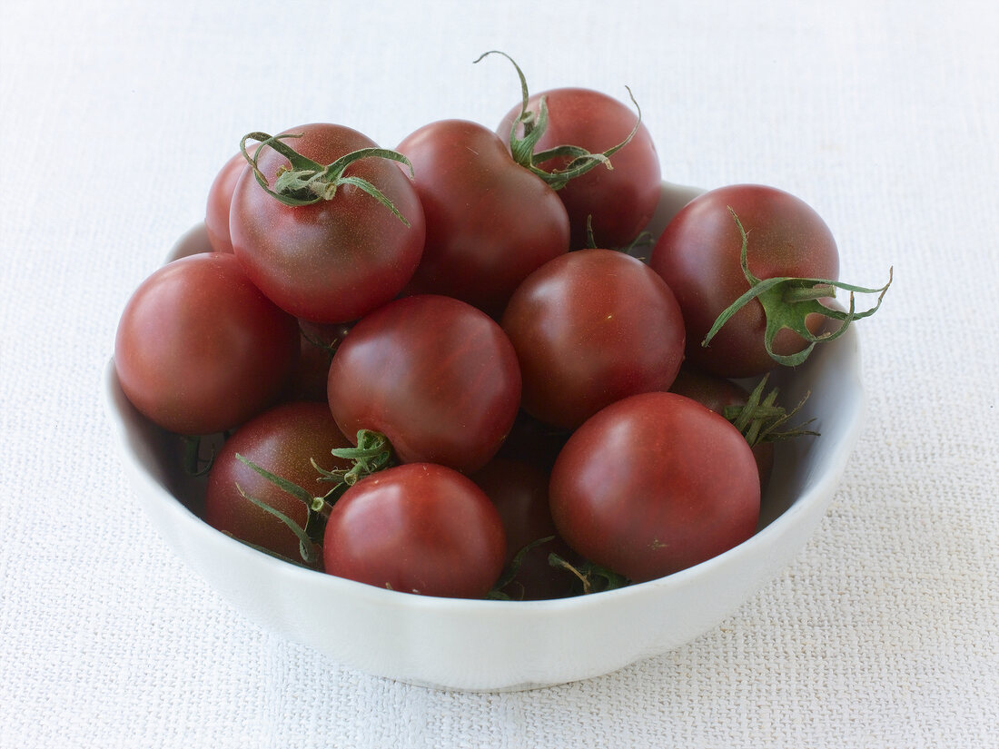 viele dunkelrote Tomaten, Sorte Black Cherry