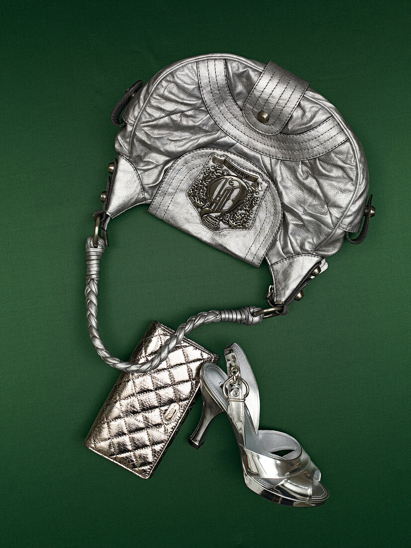 Sliver shoe, bag, belt and wallet on green background