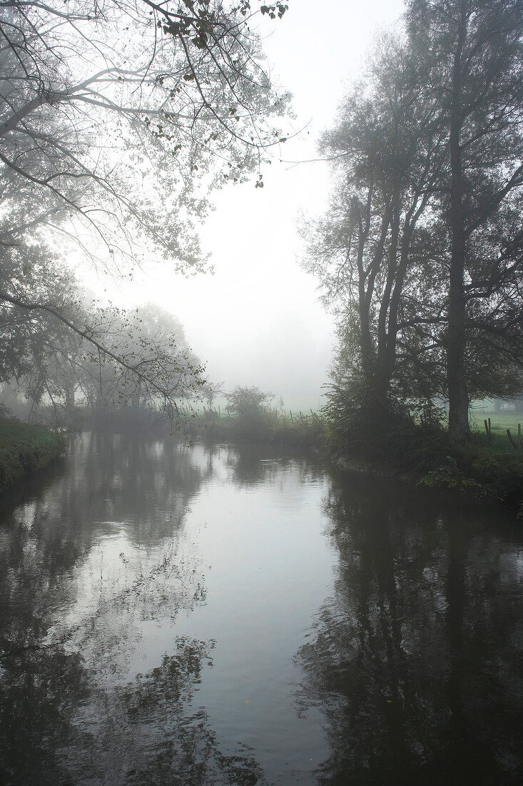 Blick auf See, Bäume am Ufer, nebelig, malerisch