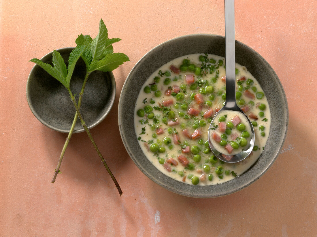 Gravy of peas, ham, sahnesauce and mint in bowl