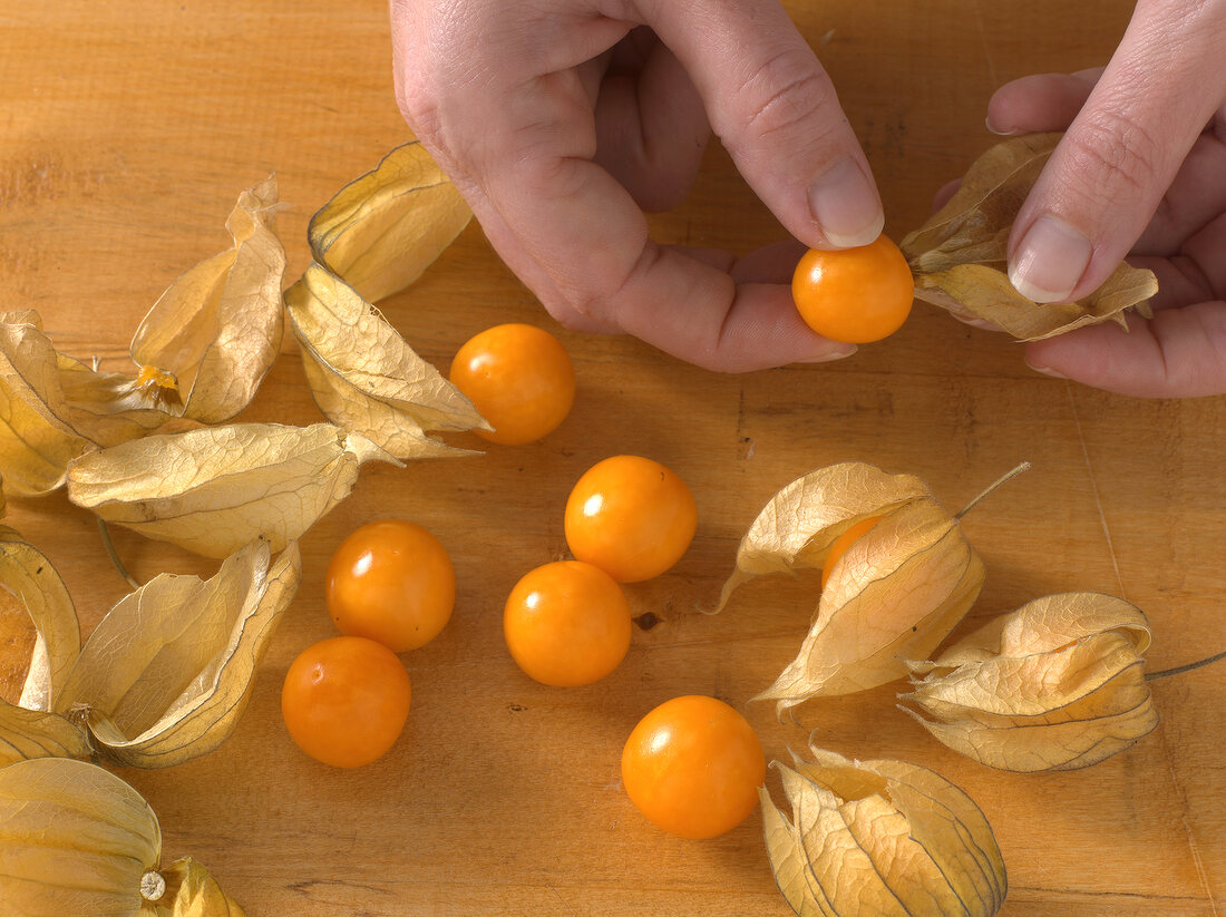 Removing physalis berry from leaves for preparation of physalis salsa, step 2