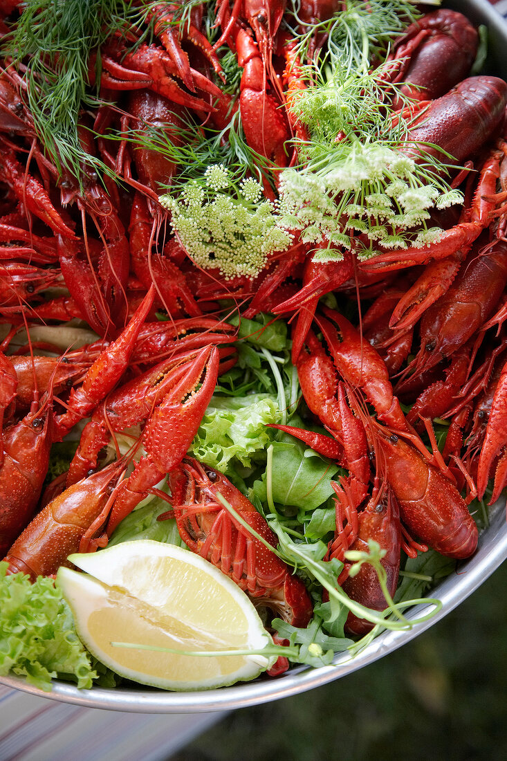 Close-up of crayfish with dillsud in pot