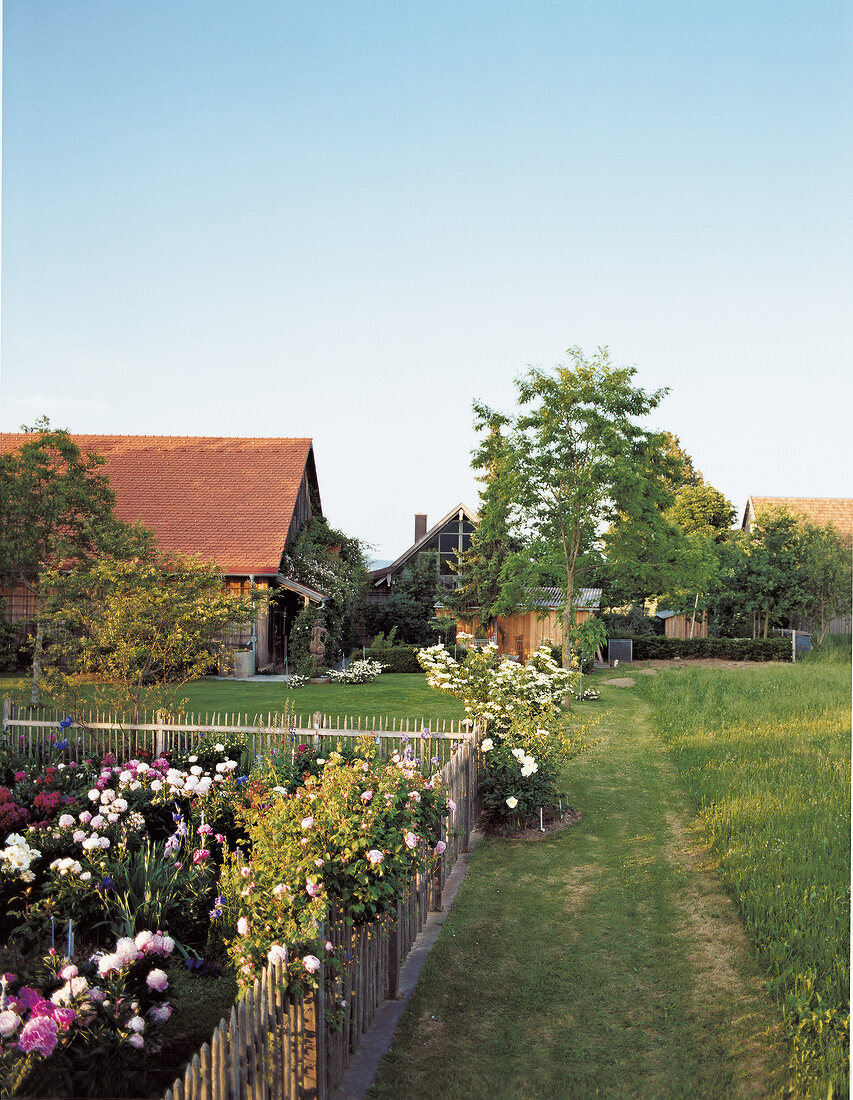 View of cottage garden