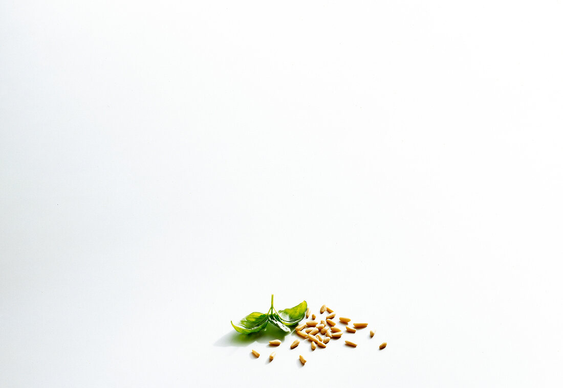 Pine nuts and basil leaves on white background
