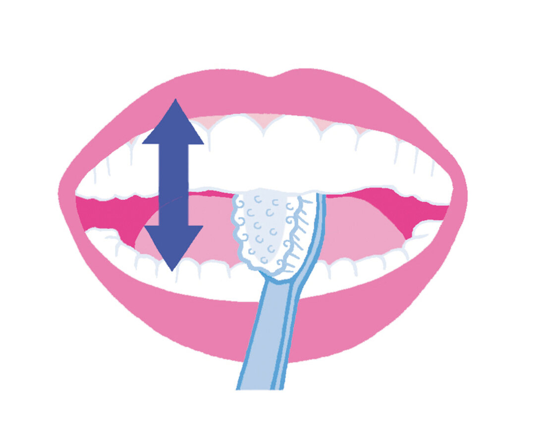 Illustration: Zähne richtig putzen Step 5 von 6
