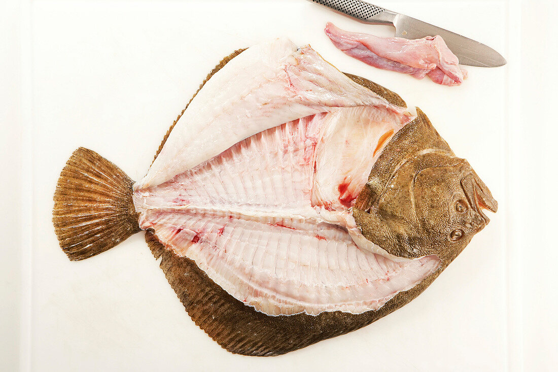 Turbot fish being cut into fillets, step 3