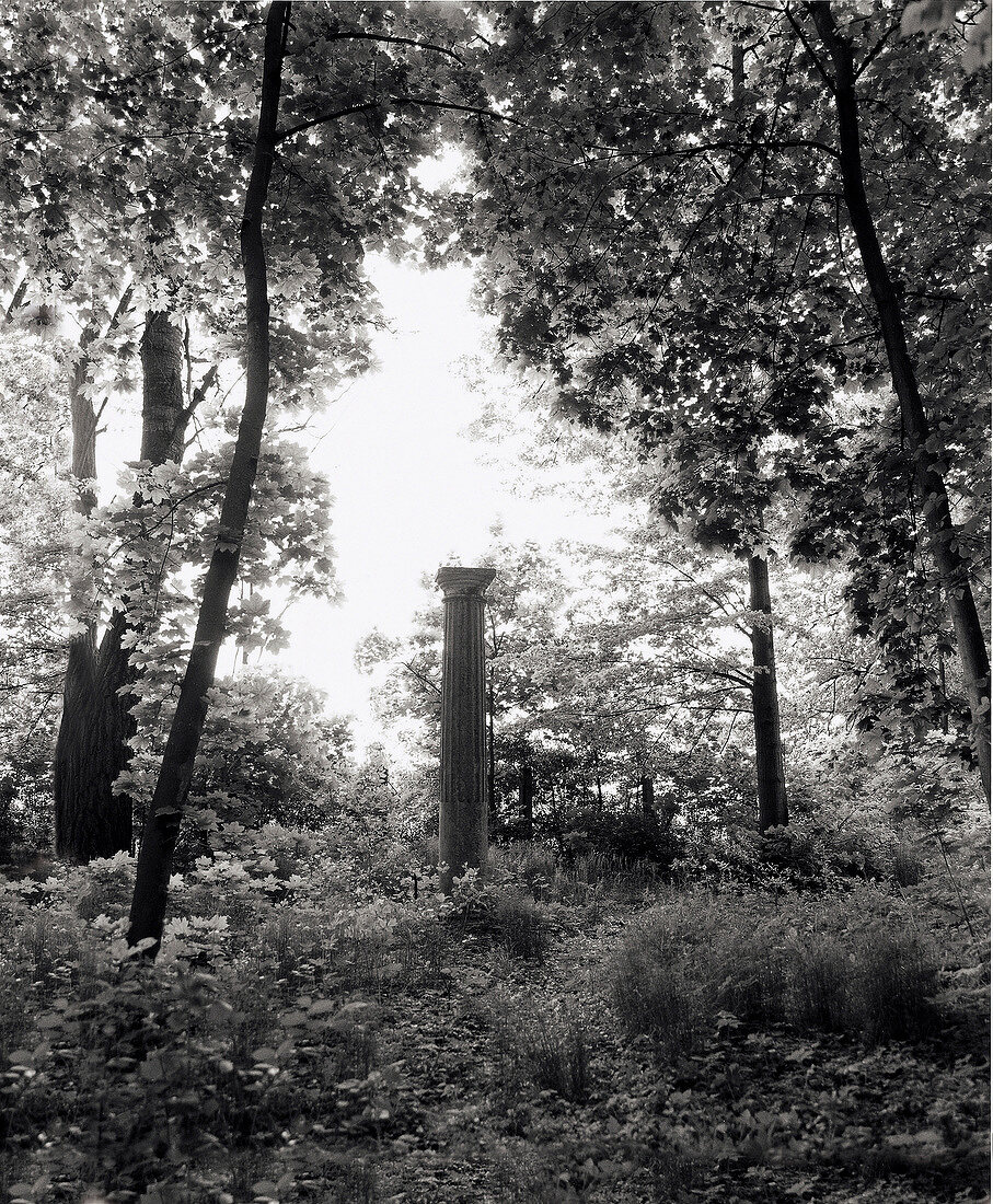 Antiker Säulenschaft im Park Arkadia Polen