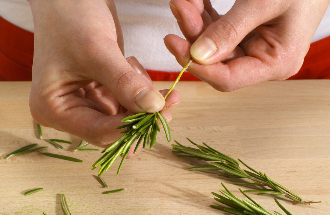 Rosemary needles being removed from stem, step 2