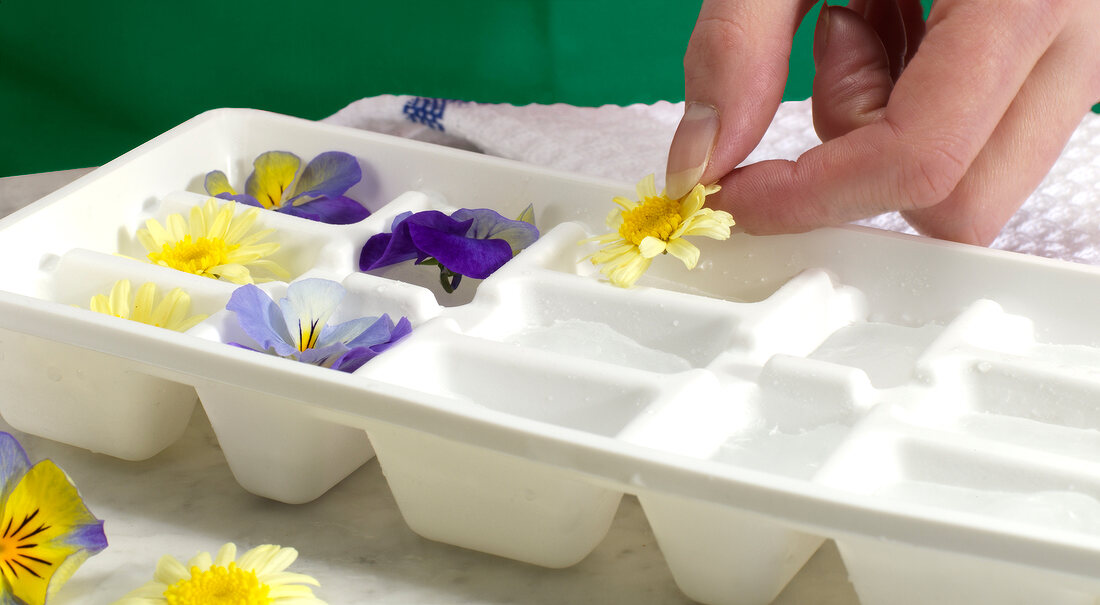 Flowers being placed in ice cube tray, step 2